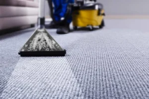 čišćenje tepiha sa karcher ekstrakcijskim strojem