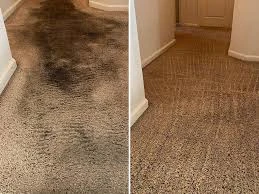 čišćenje tepiha prije i poslije tretmana i čišćenja