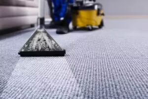 čišćenje tepiha sa karcher ekstrakcijskim strojem
